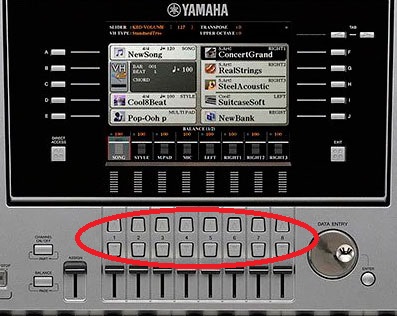 Tyros 5 Mute/Solo Buttons