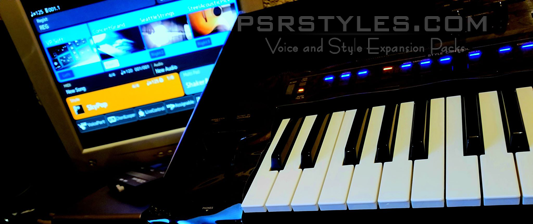 Yamaha PSR SX900 Display out